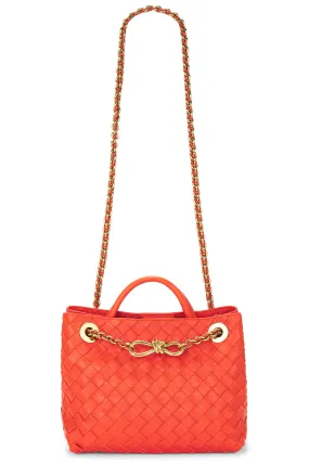 Bottega Veneta Small Andiamo Bag