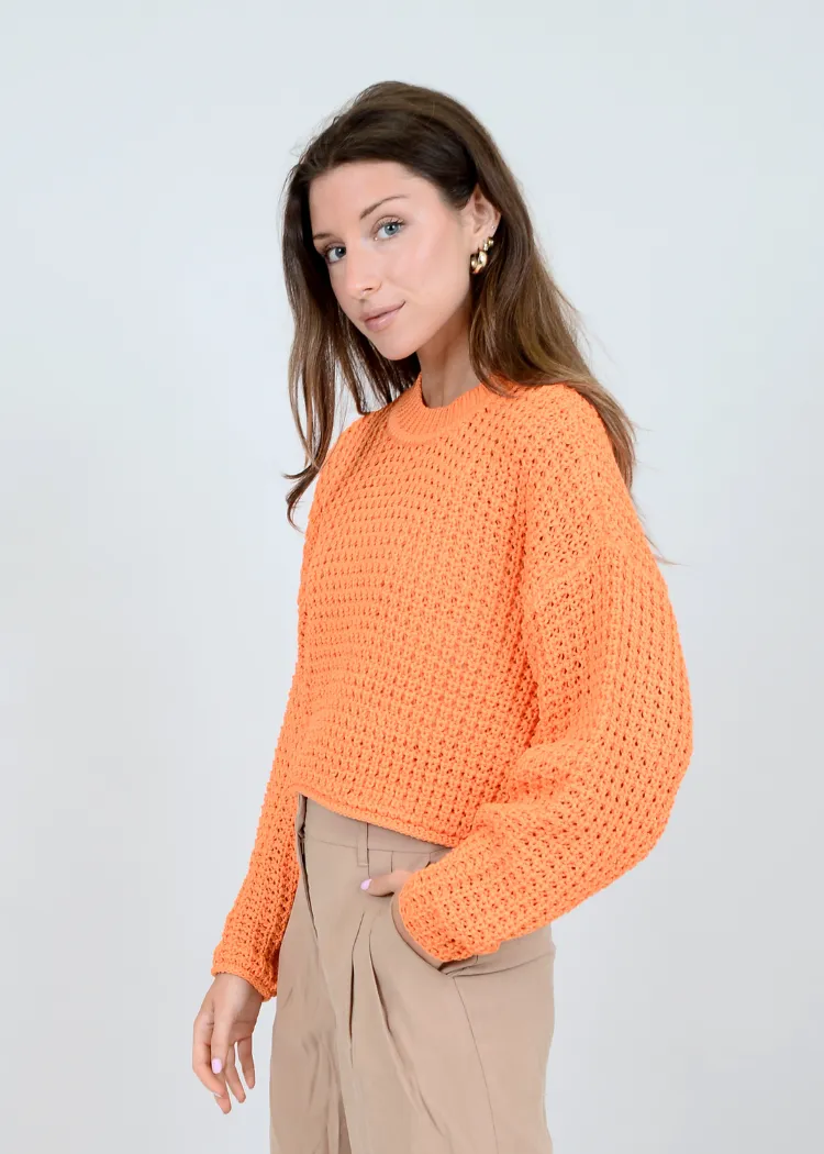 RD Style Darla L/S Crew Neck Pullover - Apricot