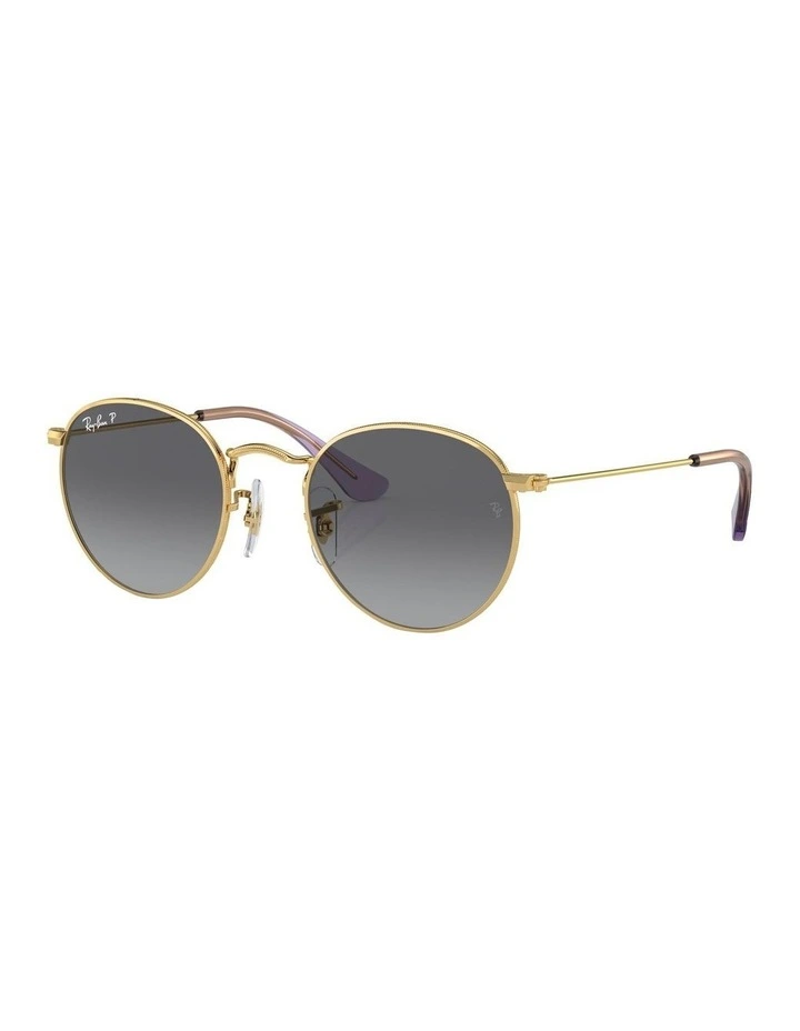 Round Polarised Sunglasses in Gold