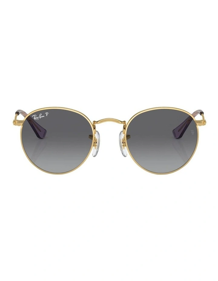 Round Polarised Sunglasses in Gold