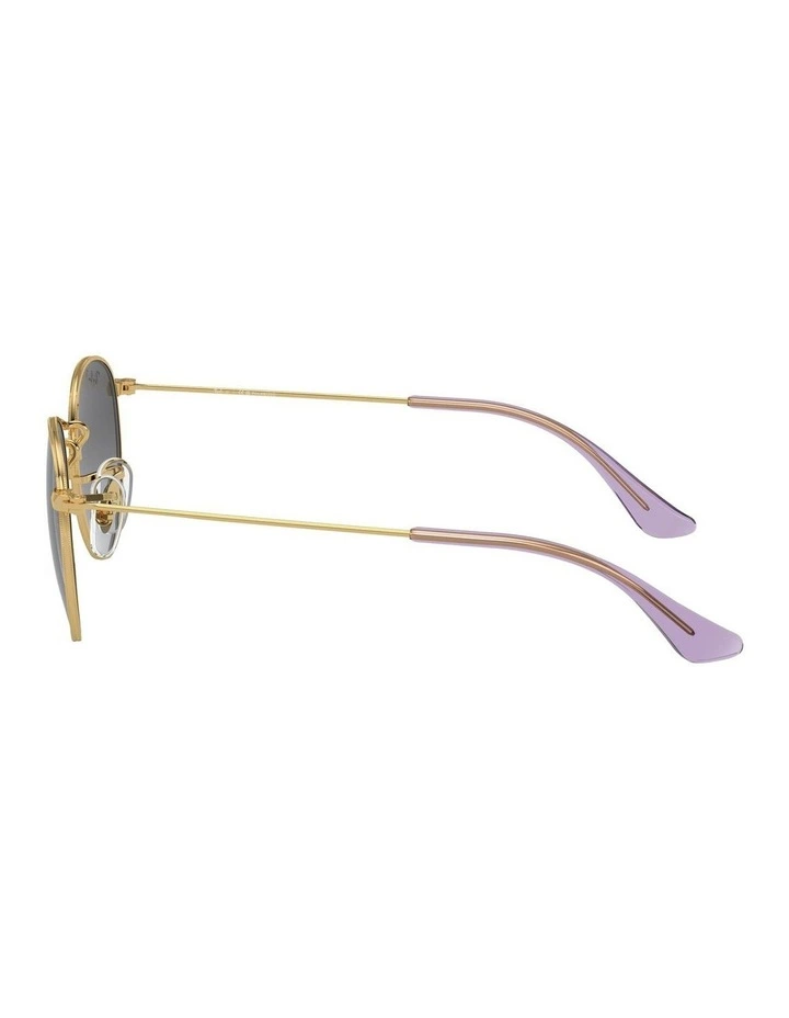 Round Polarised Sunglasses in Gold