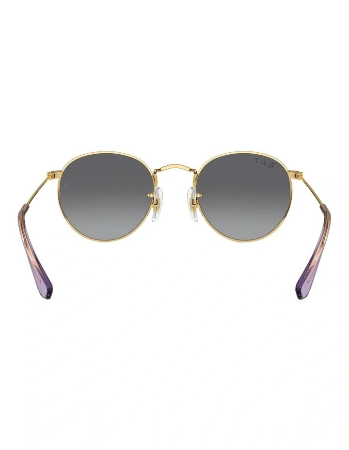 Round Polarised Sunglasses in Gold