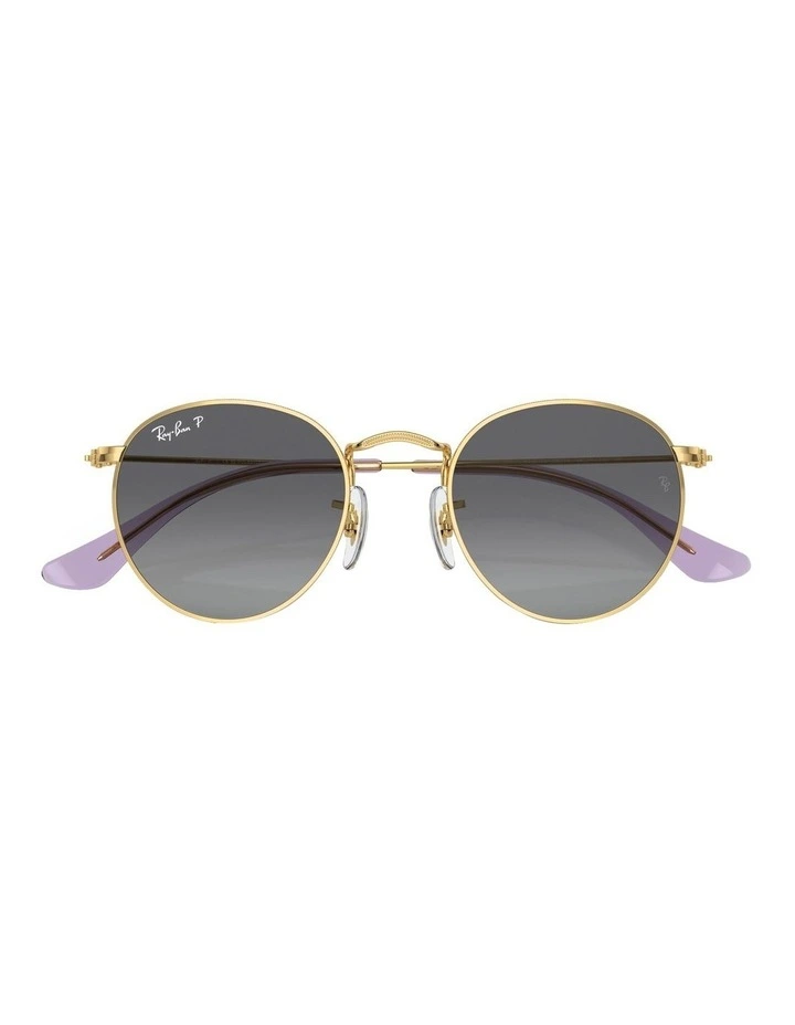 Round Polarised Sunglasses in Gold